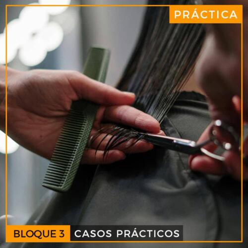 Oposición Peluquería. BLOQUE 3: CASOS PRÁCTICOS